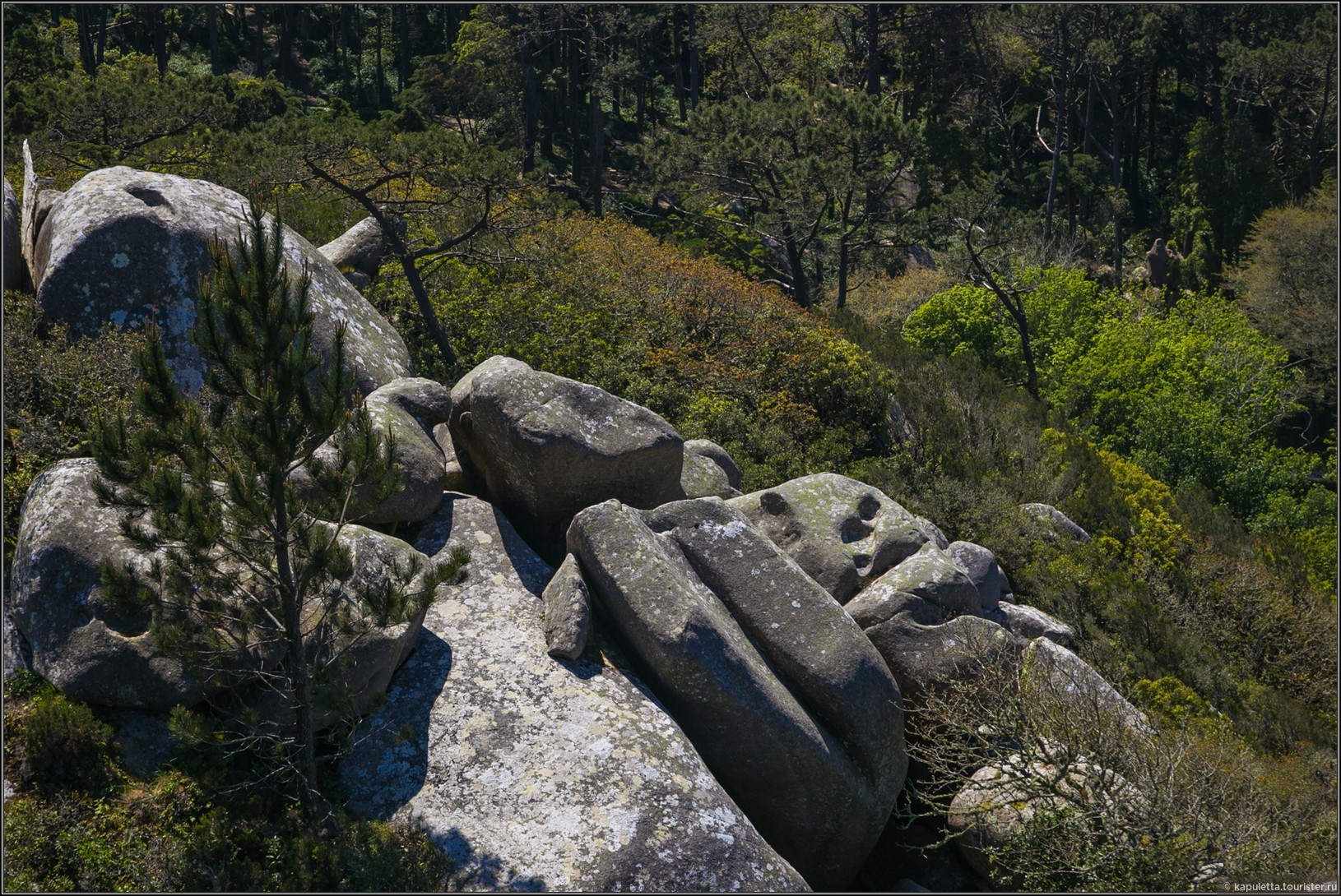 Sintra